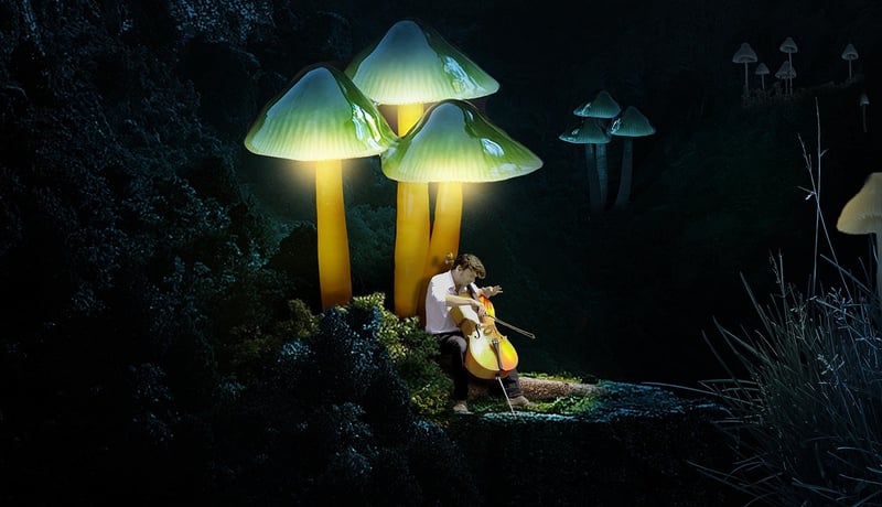 Enchanted Music